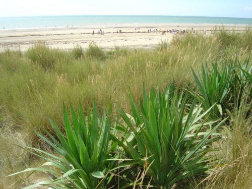 plage_bretteville_sur_ay